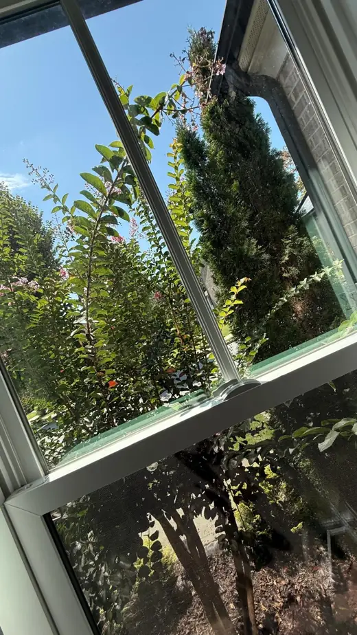 Clean windows — Wexi Cleaning, Lawrenceville GA